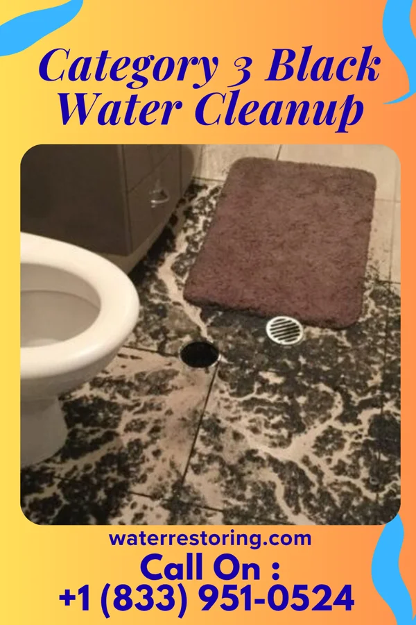 Category 3 Black Water Cleanup in Roswell, GA
